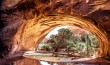 Arches NP I Utah