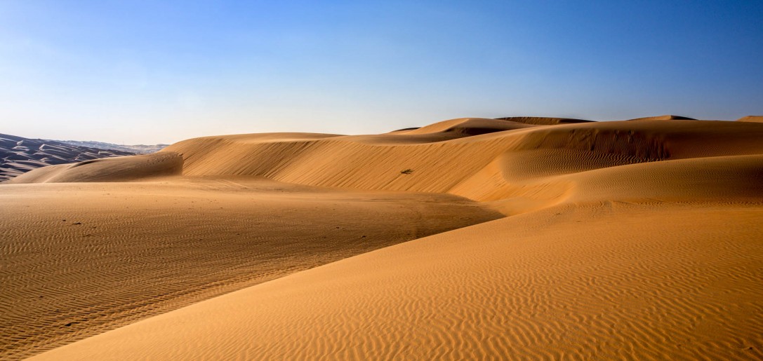 Liwa I Abu Dhabi