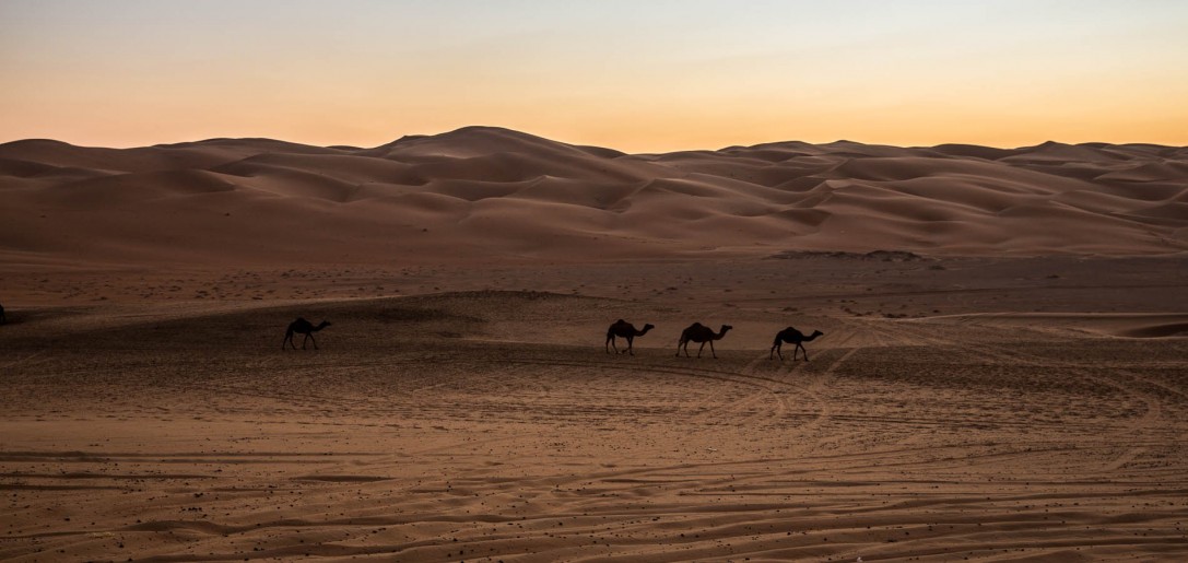 Liwa I Abu Dhabi