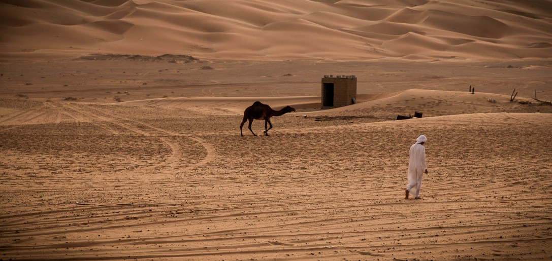 Liwa I Abu Dhabi
