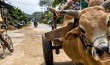 Dien An I Vietnam