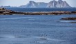 Lofoten I Norway