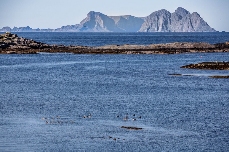 Lofoten I Norway