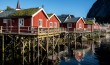Lofoten, Reine I Norway