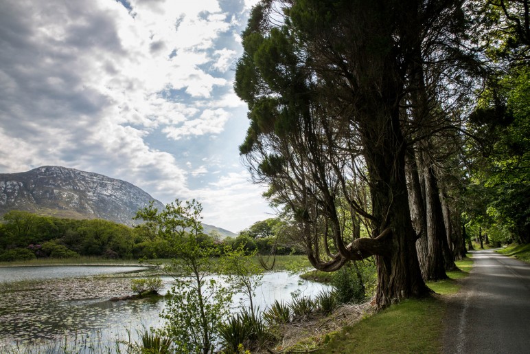 Connemara NP, Irland