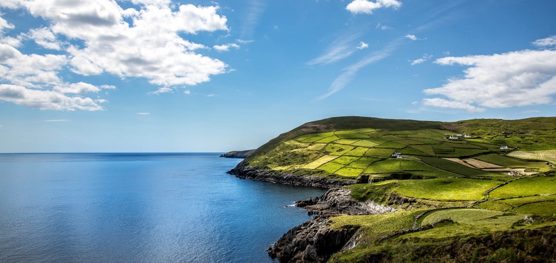 Lambs Head, Irland