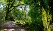 Killarney. Muckross Lake, Irland