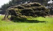 Punakaiki, NZ