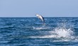 Kaikoura, NZ