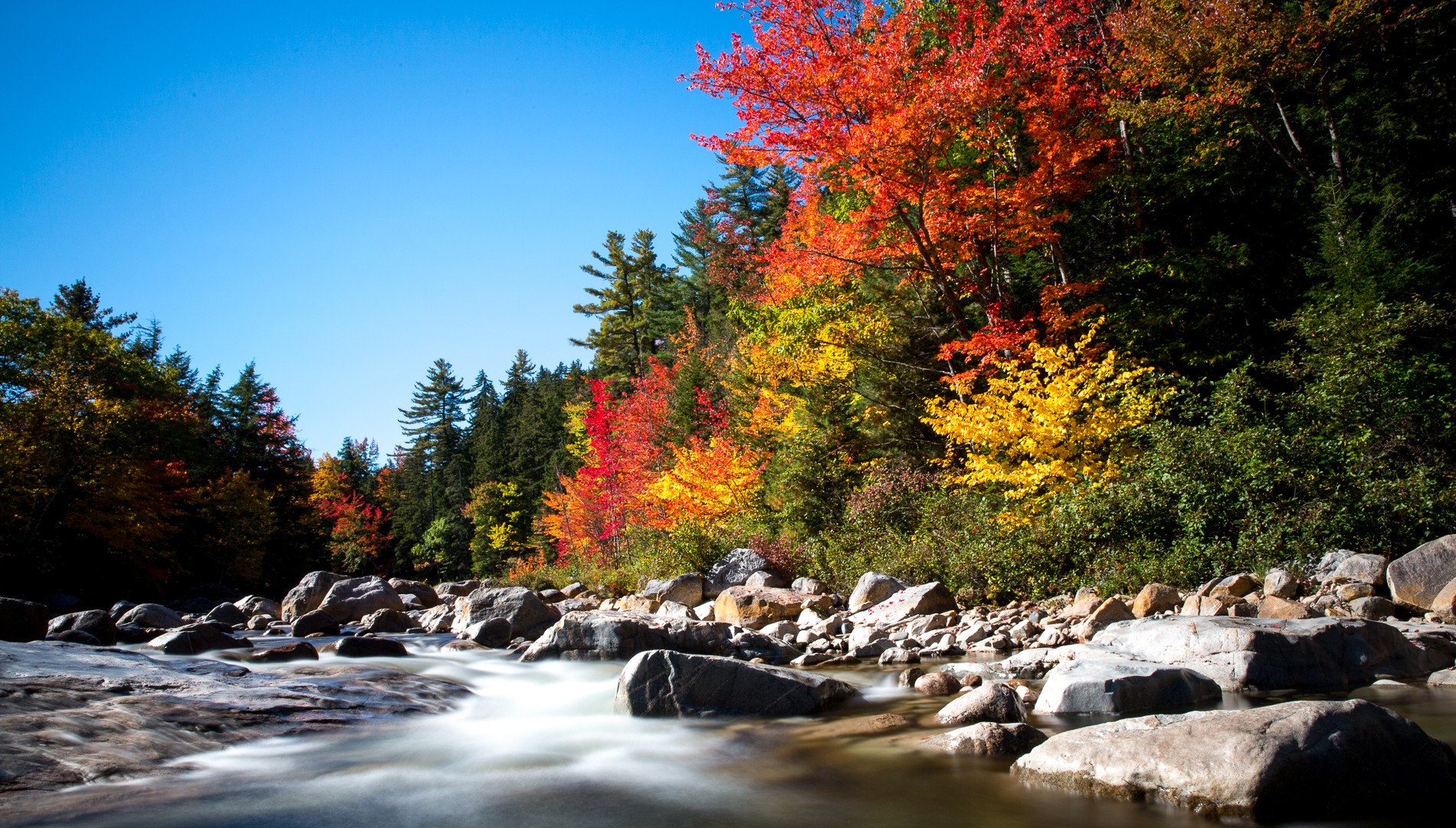 White Mountain NP I New Hampshire